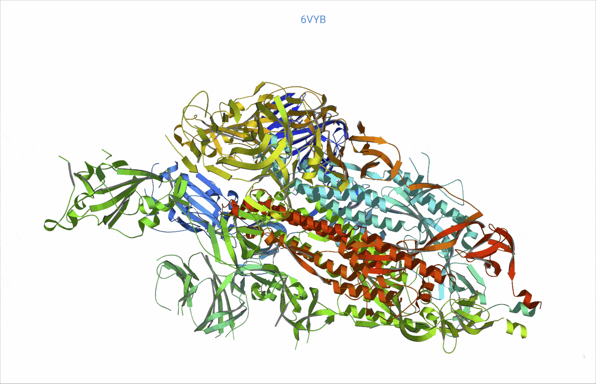 A visualisation of the possible opening and closing mechanism Rudo and his colleagues found at the top of the SARS-CoV-2 spikes