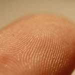 Original: https://commons.wikimedia.org/wiki/File:Fingerprint_detail_on_male_finger.jpg