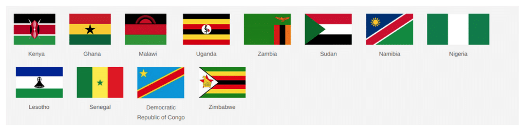 graphic showing the flags of 12 African countries where Dimensions was launched in 2021 and 2022