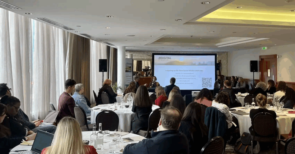 audience at conference