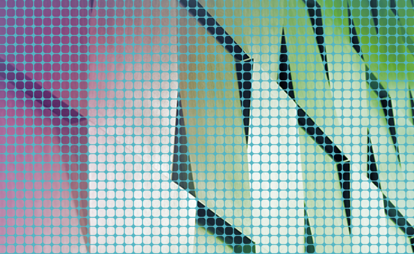 State of Open Data report cover pattern